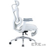 Крісло офісне з підставкою для ніг Sihoo DORO C300L Mesh White with footrest (DORO-C300L-A3-102-JT)