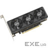 Відеокарта ASUS GeForce RTX 5060 LP BRK 8GB GDDR7 OC Edition (RTX5060-O8G-LP-BRK)