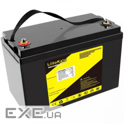 Акумуляторна батарея LiitoKala LiFePO4 12V120Ah(4S2P) (12V120Ah(4S2P) LiFe (12V120Ah(4S2P)  LiFePO4)