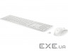 HP 650 Wireless Keyboard and Mouse Combo (4R016AA)