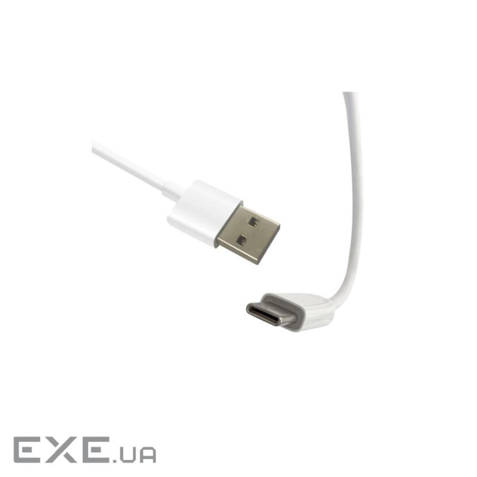 Аксесуар до екшн-камер AirOn зарядний пристрій USB-C (3 м) + USB-C сплітер для Proc (69477915500108)