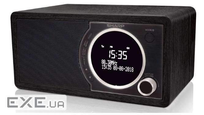 Радиоприемник Sharp Digital Radio Black (DR-450(BK))