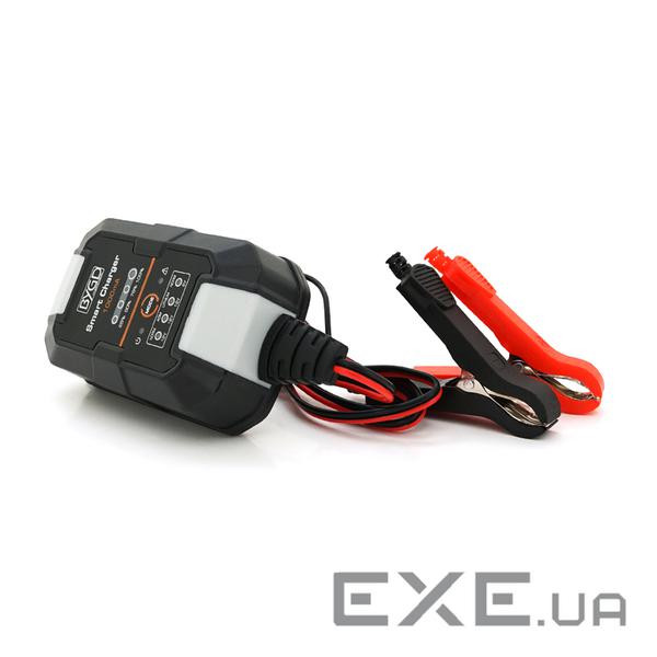 Автомобільне ЗУ BYGD, 6 / 12V, 220-240V, 1,5A, LED-індикація, клемми (AGM / GEL / Lead) (ML-F1000) (AGM / GEL / Lead) (M