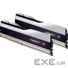 Модуль пам'яті G.SKILL Trident Z5 Metallic Silver DDR5 5600MHz 32GB Kit 2x1 (F5-5600J4040C16GX2-TZ5S)