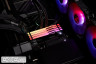Модуль пам'яті KINGSTON FURY Beast RGB EXPO DDR5 5600MHz 32GB Black (KF556C36BBE2A-32)