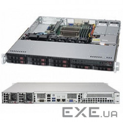 Server platform Supermicro SYS-1019S-C