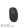 Миша бездротова безшумна Fstyler, USB, чорний (FB12S (Black))
