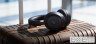 Навушники ANKER SoundСore Space 2 Black (D1402G11)
