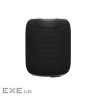Акустична система Canyon OnMove 9 Black (CNE-CBTSP9)