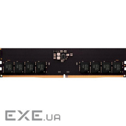 Модуль пам'яті TEAM Elite DDR5 5600MHz 32GB (TED532G5600C4601)