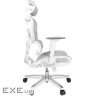 Эргономичное кресло Proove CEO black (ECCE0001001)