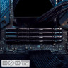 Модуль пам'яті KINGSTON FURY Beast EXPO DDR5 5600MHz 64GB Kit 2x32GB Black (KF556C36BBE2K2-64)