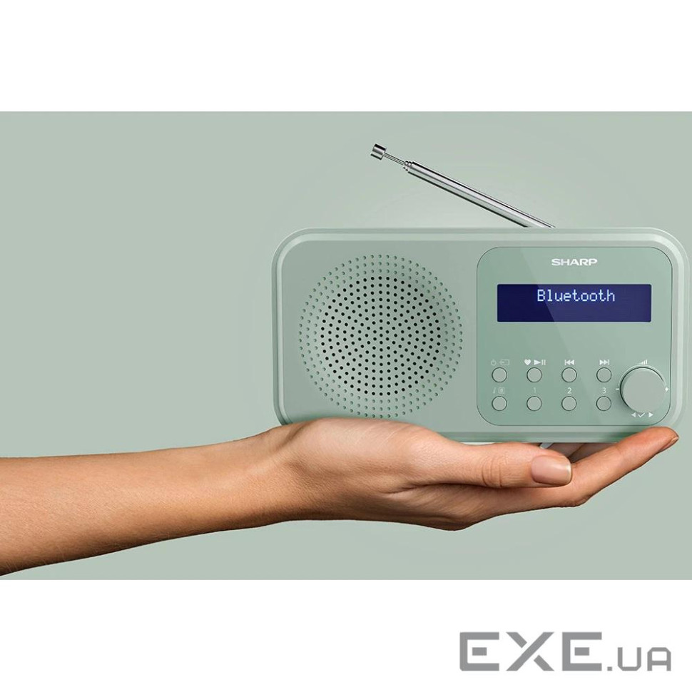 Радиоприемники DR-P420 Green (DR-P420(GN))