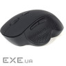 Миша Gembird MUSW-6B-02 Wireless Black