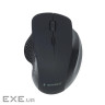 Миша Gembird MUSW-6B-02 Wireless Black