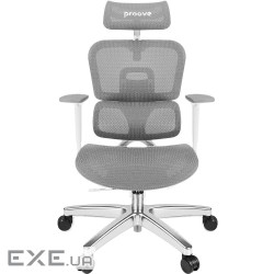 Эргономичное кресло Proove CEO gray (ECCE0001003)