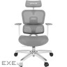 Эргономичное кресло Proove CEO gray (ECCE0001003)