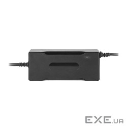 Зарядний пристрій для акумуляторів LiFePO4 24V (29.2V)-4A-96W-C13 (19297)