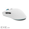 Мишка Thunderobot ML7 Tri-Mode wireless Mous (ML7) (NL6)