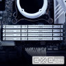 Модуль пам'яті KINGSTON FURY Beast EXPO White DDR5 6000MHz 32GB (KF560C36BWE-32)
