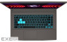 Ноутбук (портативний компютер) THIN 15 CI7-13620H 15" 16/512GB DOS B13VE-3483XUA MSI