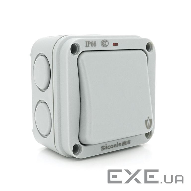 Вимикач одинарний зовнішнього монтажу SL-1, водонепроникний, IP66, AC: 110-250V, 10A, Gr (Sicoele-1) , IP66, AC: 110-250