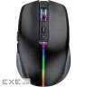 Wireless Mouse Proove Comet black (WMCM00022001)
