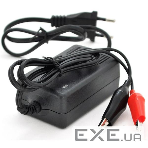 Мережевий зарядний пристрій для АКБ Merlion KF-0602000-GS