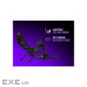 LORGAR FLEX RAF1, Sim Racing Cockpit Advanced, Foldable, 150x72x113 cm-playing, 38x72x126 (LRG-RAF1)