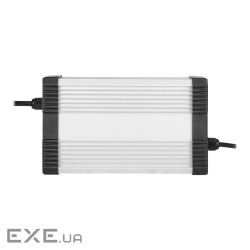Зарядний пристрій для акумуляторів LiFePO4 48V (58.4V)-8A-384W-C13 (19304)