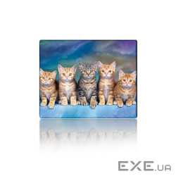 Коврик 250*300 тканинний Five Cats, з боковою прошивкою, толщина 2 мм (YT-CAT30)