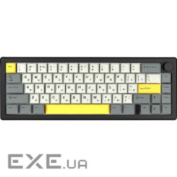 Клавіатура бездротова Epomaker EK68 65% Flamingo Switch Hot-Swap (2.4G/BT/USB) RGB UA B (EK68-B-F)
