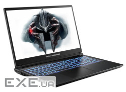Ноутбук (портативний компютер) CU9-290HX 17" 32GB/1TB RG5070-15UA30 DREAM MACHINES