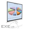 Проекційний екран Elite Screens 136" 243,8X243,8 (T136NWS1)