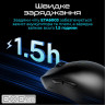 Мышь беспроводная RAWM ES21 Black (ES21.black)