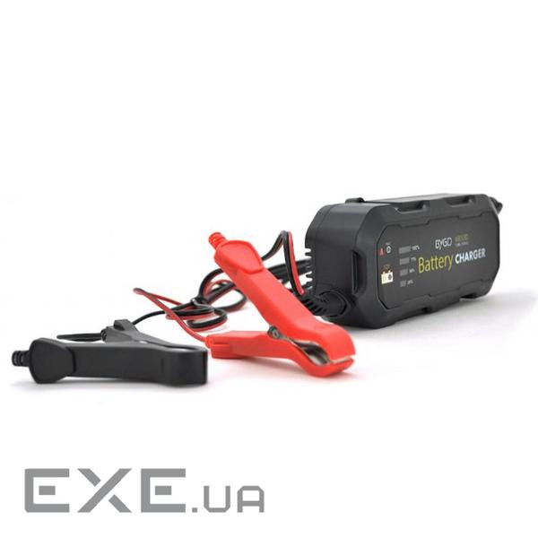 Мережевий зарядний пристрій для АКБ Merlion BYGD 6853D