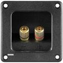 Гніздо FreeEnd-Banana,/F Speaker terminal квадратний,чорний (75.01.1698-1) (75.01.1698-1)
