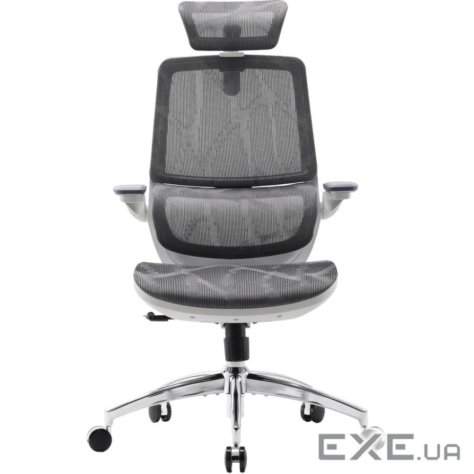 Офісне крісло Sihoo M59AS Mesh Gray (M59AS-M301)