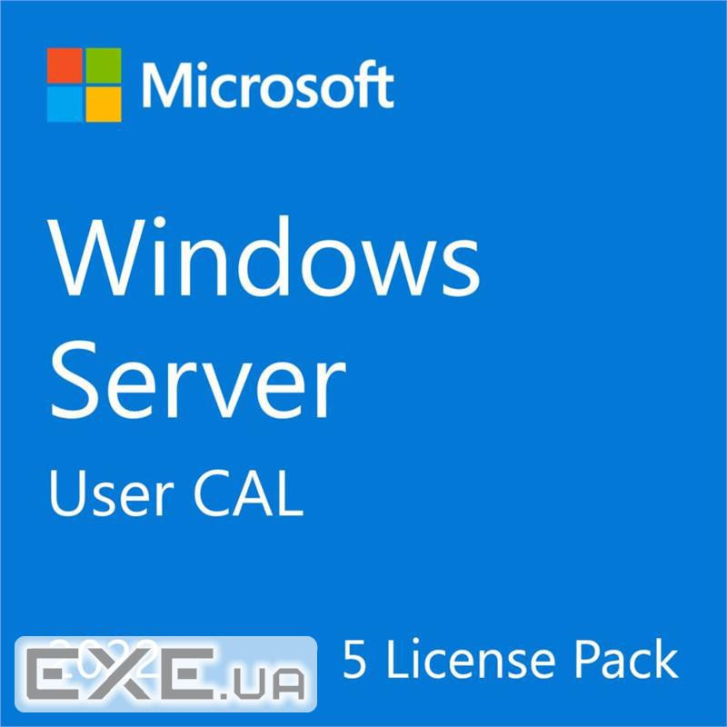 Microsoft Software R18-06466 Windows Server STD 2022 User 5CAL DSP EN Bare