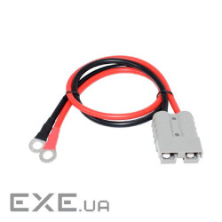 Силовий роз&apos,єм живлення 50А 600V з кабелем 30см, перетин 10 квадратів (для акб 40-2 (CFQ-50 -5) 40-2 (CFQ-50 -5)