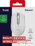 Миша Trust Ozaa Compact Multi-Device Wireless White (24933)