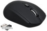 Миша ACER OMR040 Black (ZL.MCEEE.02C)