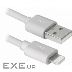 Дата кабель USB-C to Lightning 1.0m MFI Rainbow REAL-EL (EL123500054)