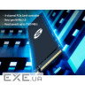 SSD диск HP FX900 Plus 1TB M.2 NVMe (7F617AA)